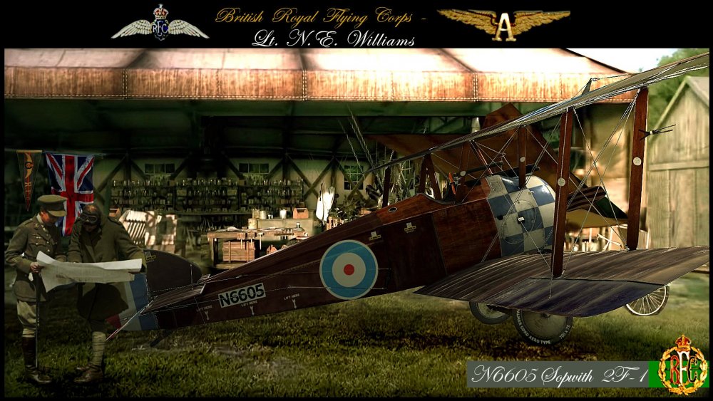 Sopwith Camel  2F1 N6605 NAVI E.jpg