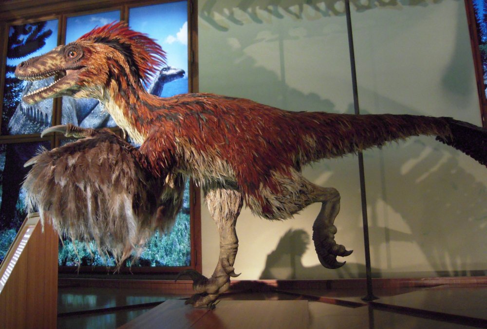 Deinonychus_im_NHM_Wien.thumb.JPG.16263298159c532e237050515d35299e.JPG