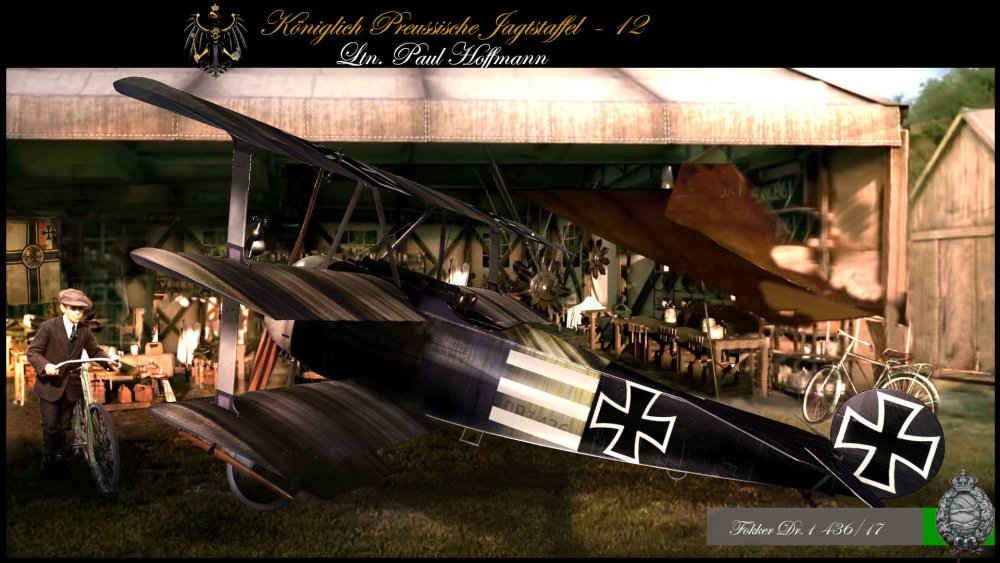 1146797171_FDr1_436_17_Ltn.PaulHoffmannJagdstaffel121.thumb.jpg.b34a0e37bd10979110f84cb9d53a7864.jpg