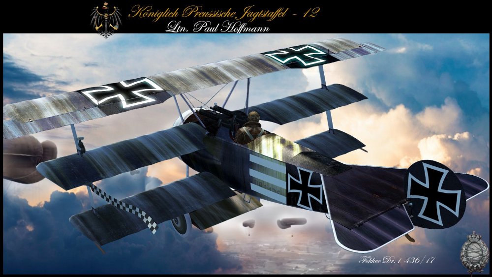 1166301792_FDr1_436_17_Ltn.PaulHoffmannJagdstaffel123.thumb.jpg.04b0d209c410051ccfd684ffa9f6f2e0.jpg