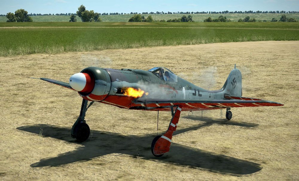 Fw 190-D9 White 1 b.jpg