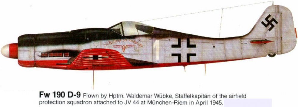 Fw190 D-9 JV44_1-011.jpg