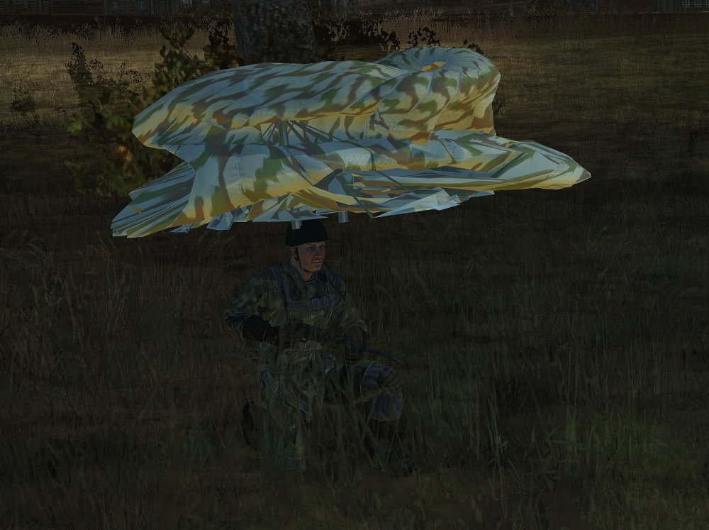1876150056_ParatrooperwithRainProtection.thumb.jpg.f70ec93594bcd7e428421c84acd4d829.jpg