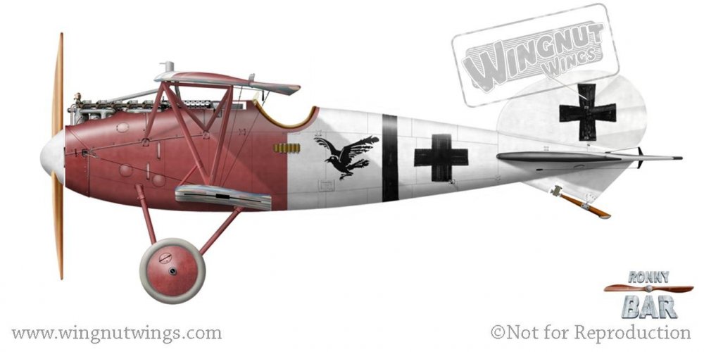 B_Albatros D.Va (OAW)questionmark, Jasta 18, May 1918.jpg