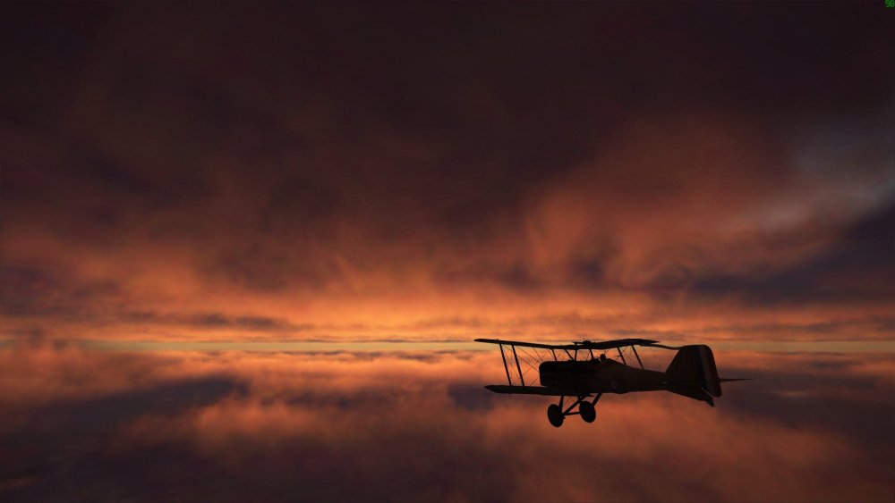 light in the dark.jpg