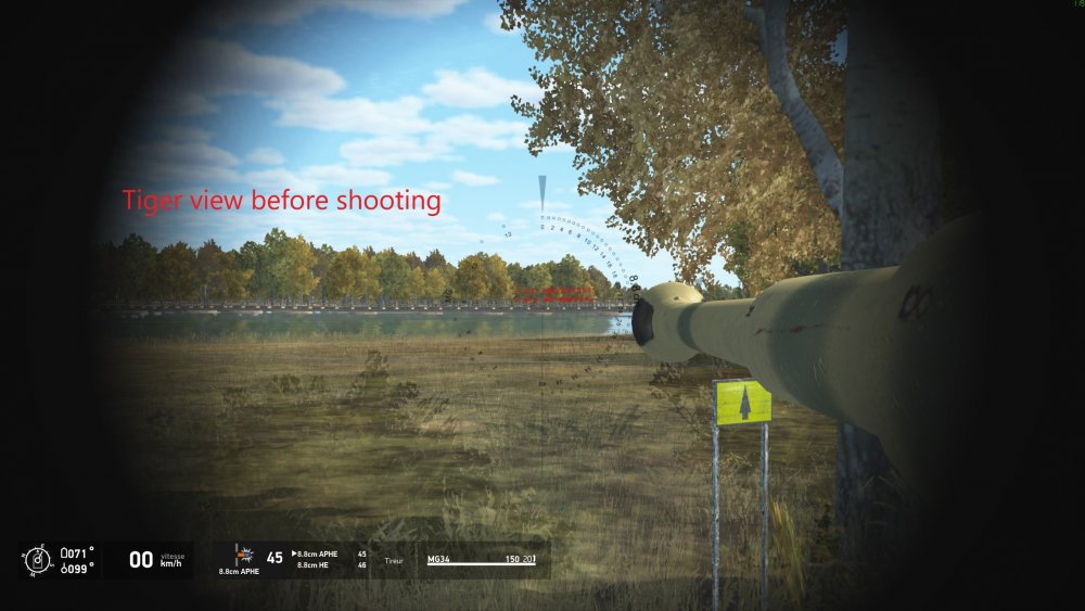 Tiger before shooting.jpg