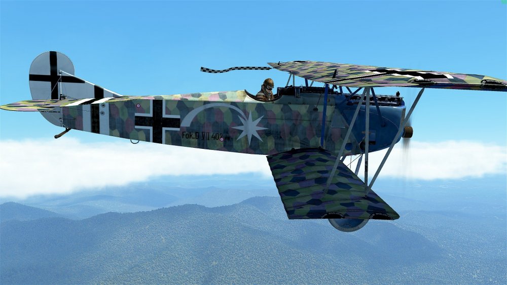 1952578902_FokkerDVII402_18_e.thumb.jpg.58e371d81c1c7d934a502053dbe271a7.jpg