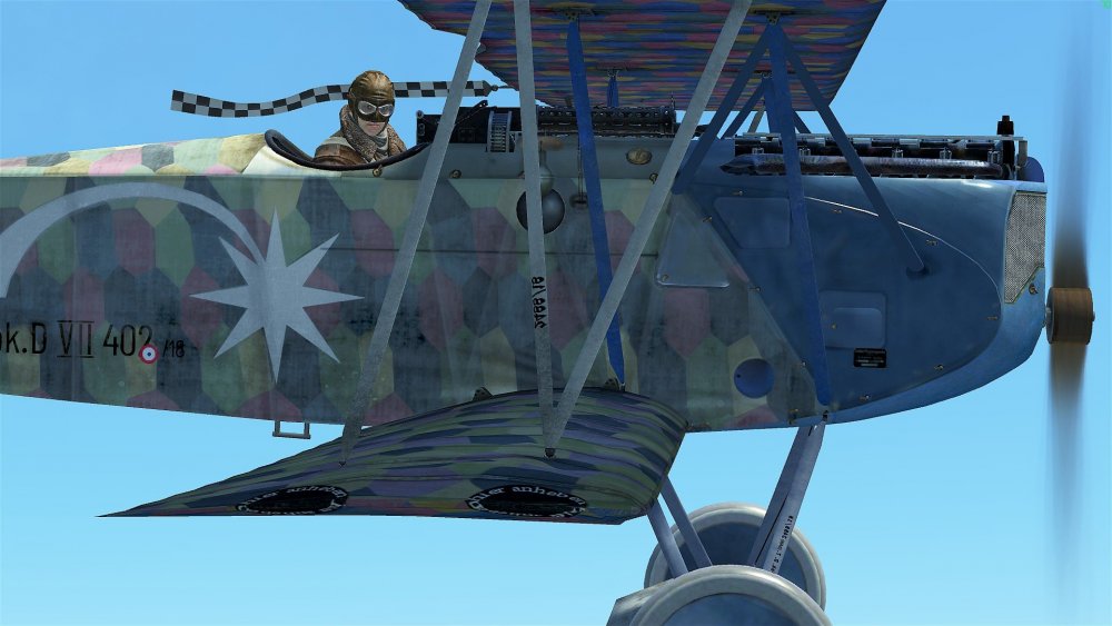 68175380_FokkerDVII402_18_d.thumb.jpg.5c3e3d89089bad6a86a5d7fc875f54e2.jpg