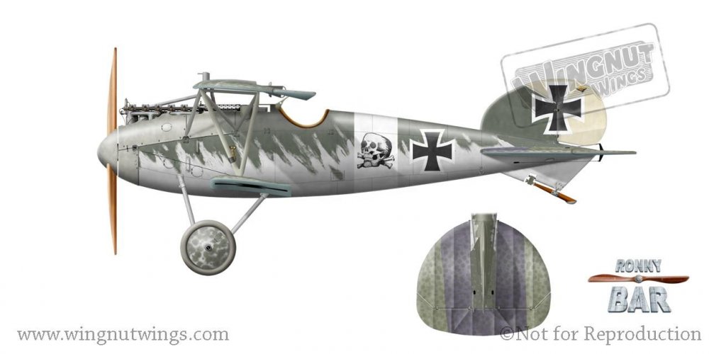 Albatros D.V, Kurt Monnington, Jasta 15, 1917 (8 victories).jpg