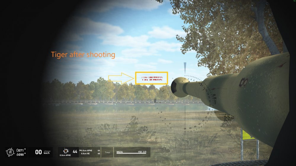 Tiger after shooting 1.jpg