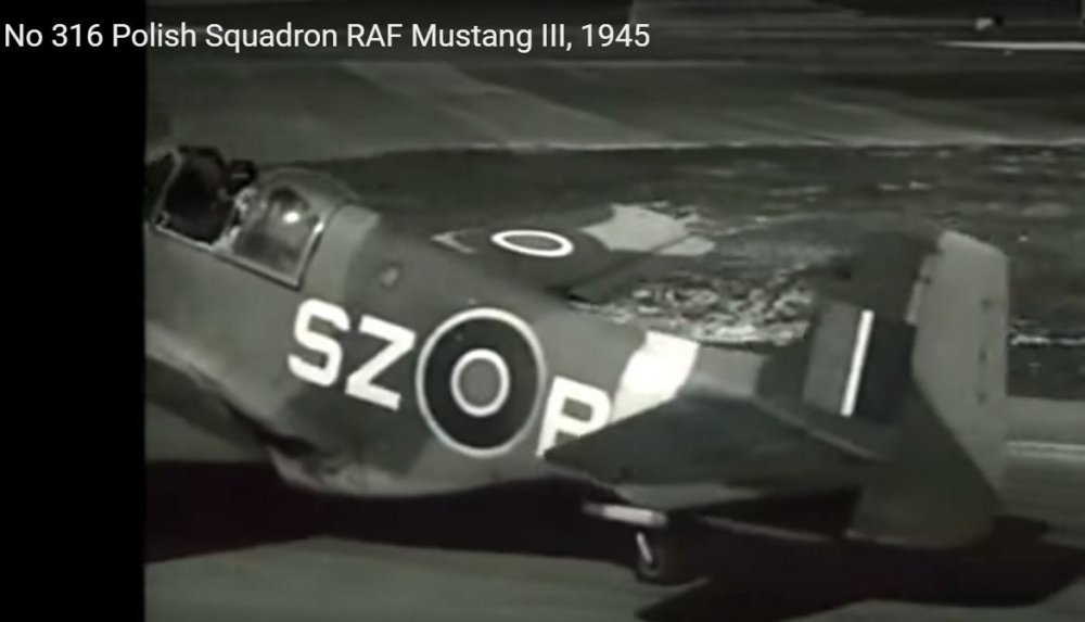 Mustang_III_1945.thumb.JPG.9fd254b25764df69a64a90e7beba1875.JPG