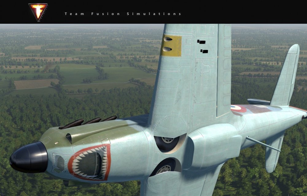 Default Dewoit d01 sharkS03 z.jpg