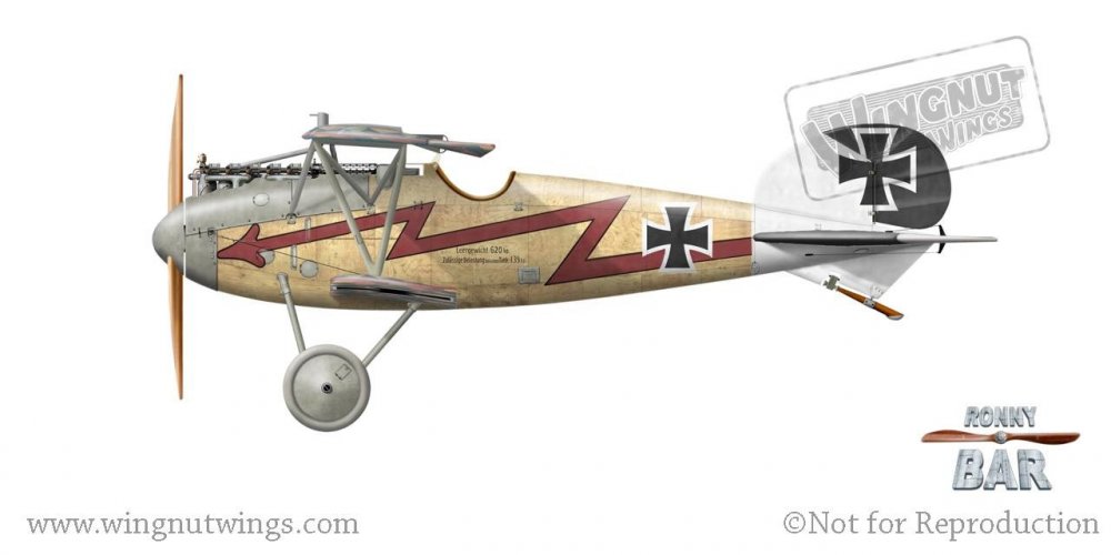 Albatros D.V, Adolf Schreder, Jasta 17, 1917-18 (1 victory).jpg