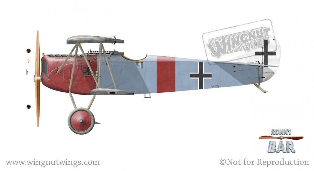Fokker D.VII (OAW) 4025_18, Paul Strahle, Jasta 57, September 1918 (15 victories).jpg