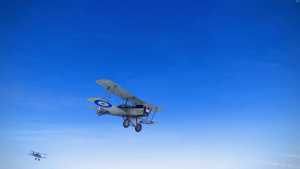 seasonal light a.jpg