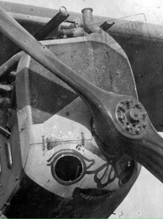 Detail radiator Fokker D.VII (Alb) Jasta 17 Bowke! Hermann Pritsch (0155-009).jpg