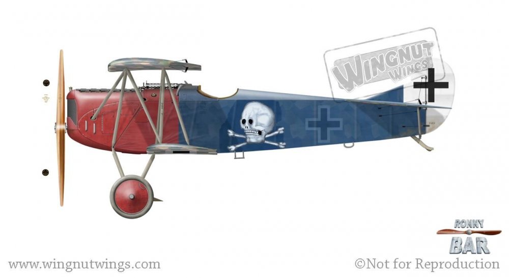 Fokker D.VII 382_18, Georg von Hantelmann (25 victories) & Kurt Wustoff (27 victories), Jasta 15, June 1918.jpg
