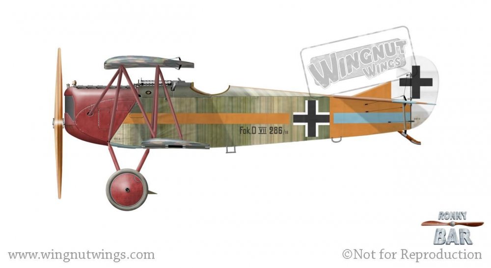Fokker D.VII 286_18, Willi Gabriel, Jasta 11, June 1918 (11 victories).jpg