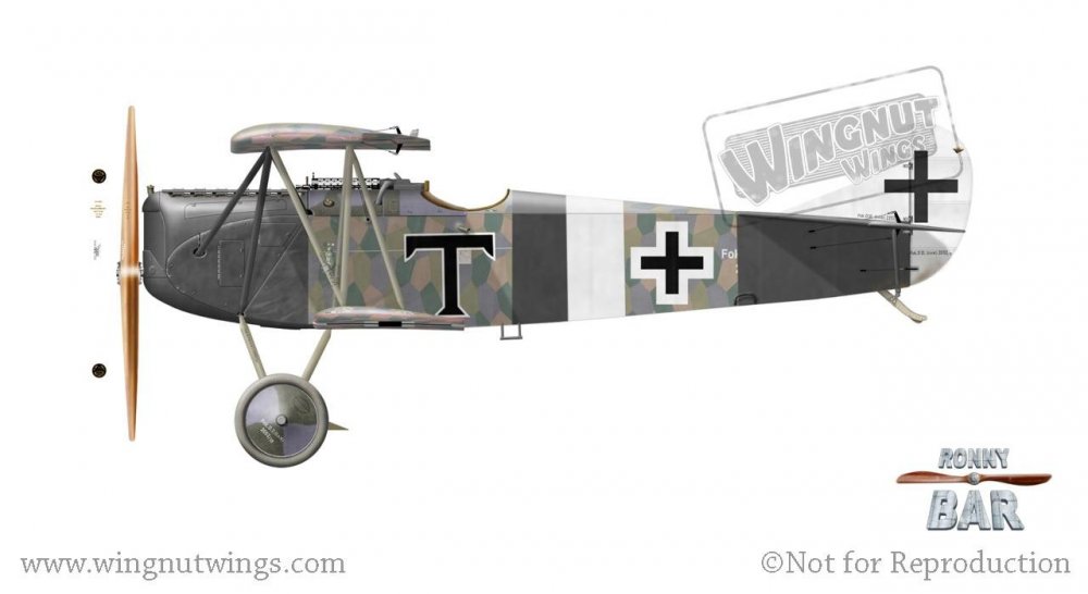 Fokker D.VII (OAW) 2052_18, Karl Thom, Jasta 21s, 1918 (27 victories).jpg