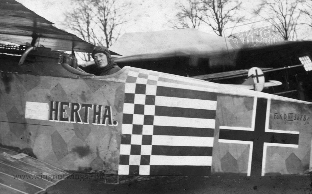 Fokker D.VII (Alb) 5278_18 after the Armistice (0806-004).jpg