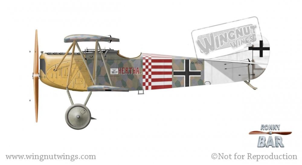 Fokker D.VII (Alb) 5278_18 Hertha, Jasta 27, October-November 1918.jpg