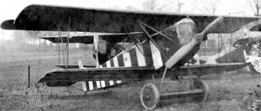 Fokkwe D.VII Jasta 26 Bruno Loerzer (0806-011).jpg