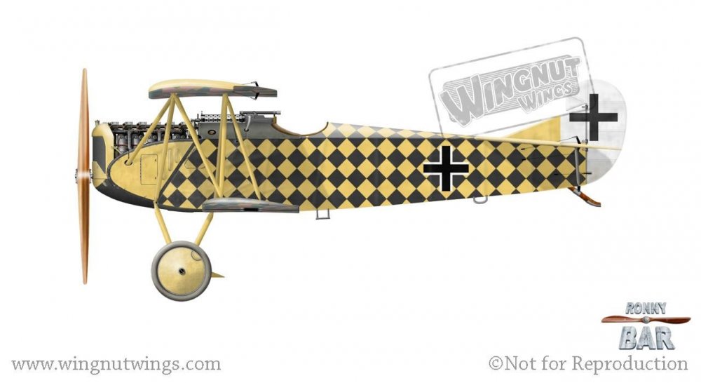 Fokker D.VII, Gotthard Sachsenberg, MFJGr 1, October 1918 (31 victories).jpg