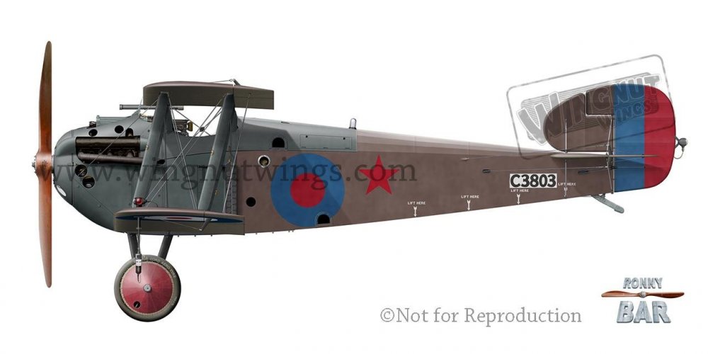 B_Sopwith 5F.1 Dolphin C3803 Red Star 6, SARD, March 1918.jpg