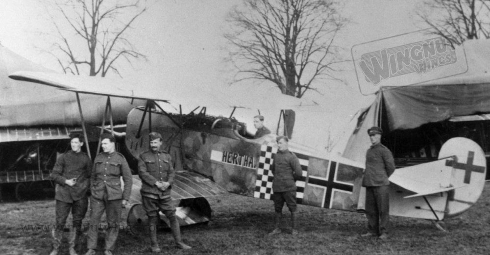 Fokker D.VII (Alb) 5278_18 after the Armistice (Greg Van Wyngarden).jpg