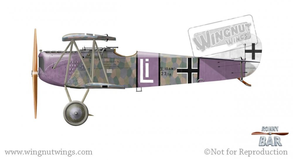 Fokker D.VII (OAW) 4523_18, Rudolf Stark, Jasta 35b, late 1918 (11 victories).jpg