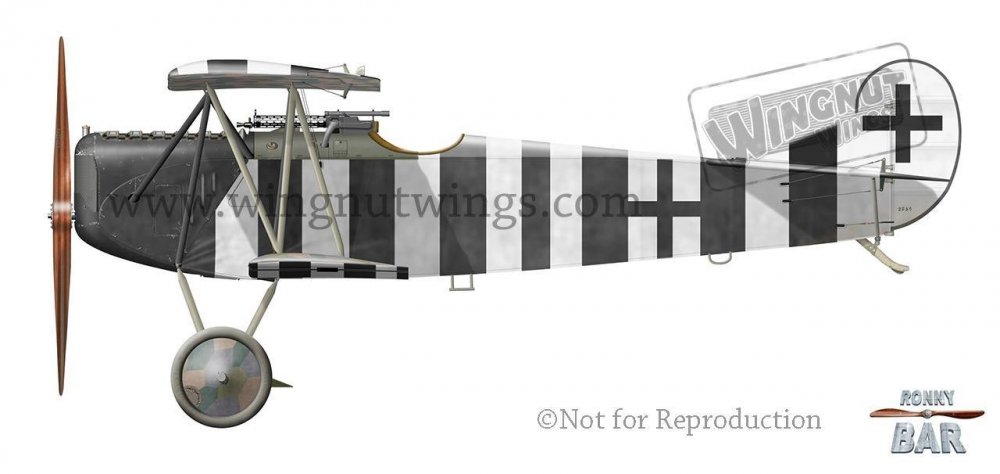 E_Fokker D.VII, Bruno Loerzer, Jasta 26_JG III, November 1918 (44 victories).jpg