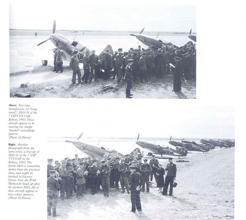 MiG-3_P-40_Kuban.thumb.jpg.4eac9f91b9a51c9314f6e9630806fbbf.jpg