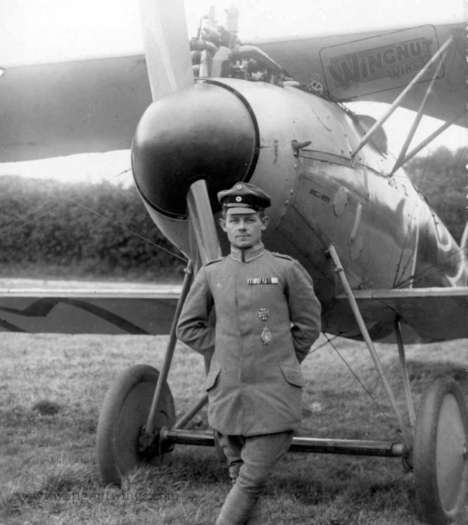 Albatros D.V 1154_17 Max Ritter von Muller. 1st August 1917 (2-06).jpg