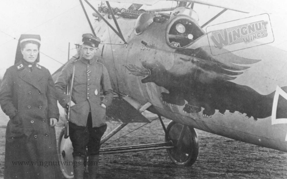 Albatros D.V 2065_17 Jasta 5 (Greg Van Wyngarden) (1).jpg