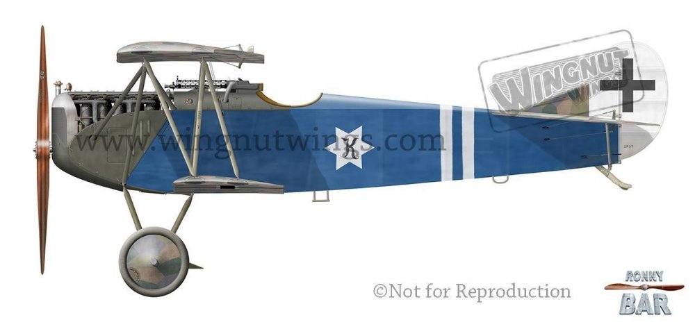 D_Fokker D.VII, Reinhold von Benz Jasta 78b, August 1918 (1 victory).jpg