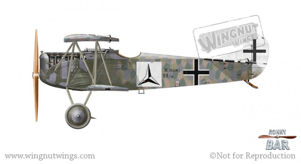 Fokker D.VII (OAW) 4198_18, Karl Ritscherle, Jasta 60, mid to late 1918 (8 victories).jpg