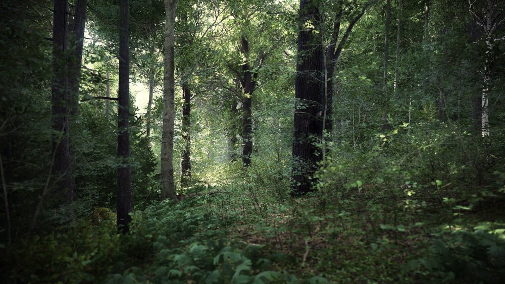 Kingdom come screemshot 1.jpg