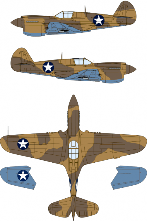 1571630948_P40Wingshape.thumb.jpg.b3a97461895a69dbfc9f8c34b446db92.jpg