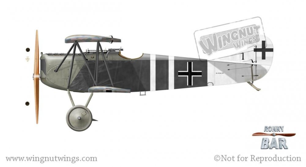 Fokker D.VII (Alb) 571_18, Adolf Gutknecht, Jasta 43, July 1918 (8 victories).jpg