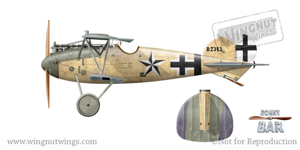 C - Albatros D.Va 7343_17, Kurt Jentsch, Jasta 61, June-August 1918 (7 victories).jpg