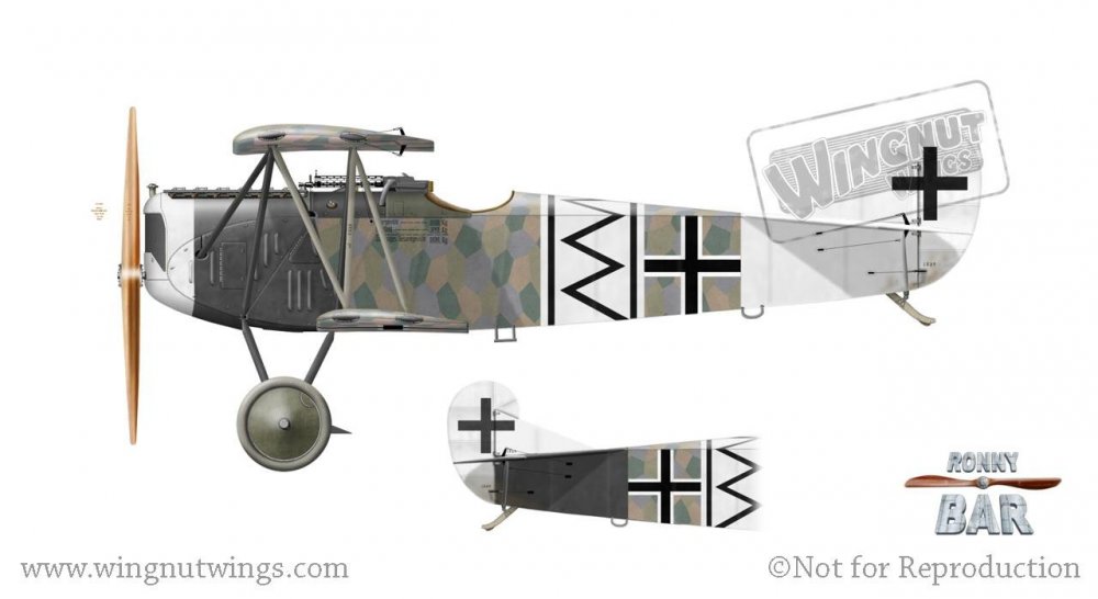Fokker D.VII F, Otto Loffler(), Jasta 2, Late 1918 (15 victories).jpg