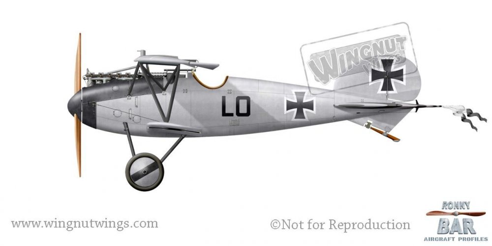 Albatros D.V, Ernest Udet, Jasta 37, mid-late 1917 (62 victories).jpg