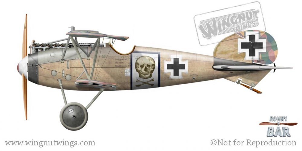 D_Albatros D.Va (OAW), Hans von Gossel, Jasta 71, mid 1918 (1 victory).jpg