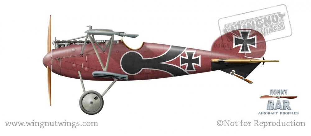 Albatros D.V 1154_17, Max Ritter von Muller, Jasta 28, late 1917 (36 victories).jpg