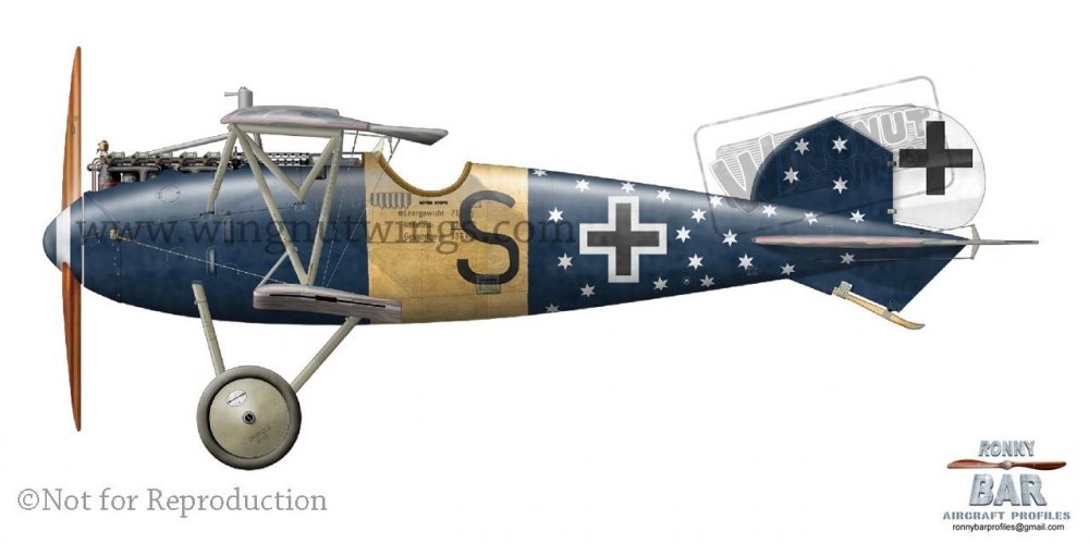 Albatros D.Va OAW 6633_17, Michael Sigmann, Jasta 78b, April-August 1918.jpg