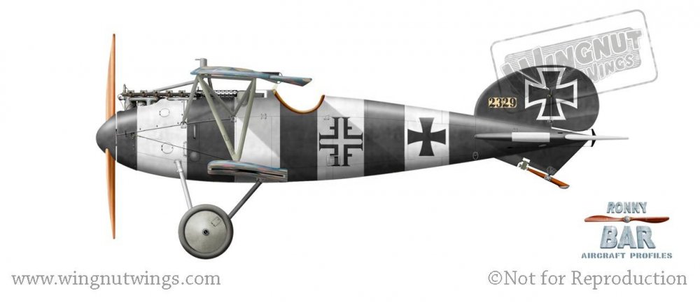 Albatros D.V 2329_17, Otto Fruhner, Jasta 26, mid 1917 (27 victories).jpg