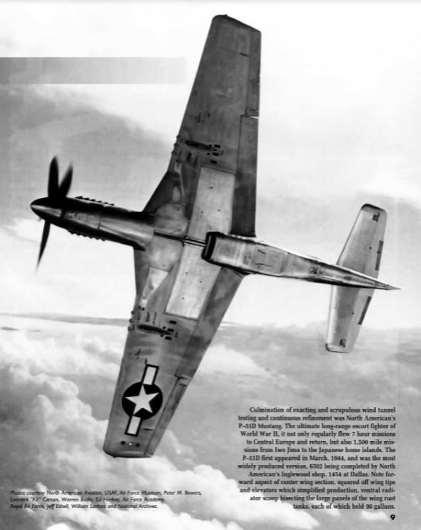 P-51 bottom view.JPG