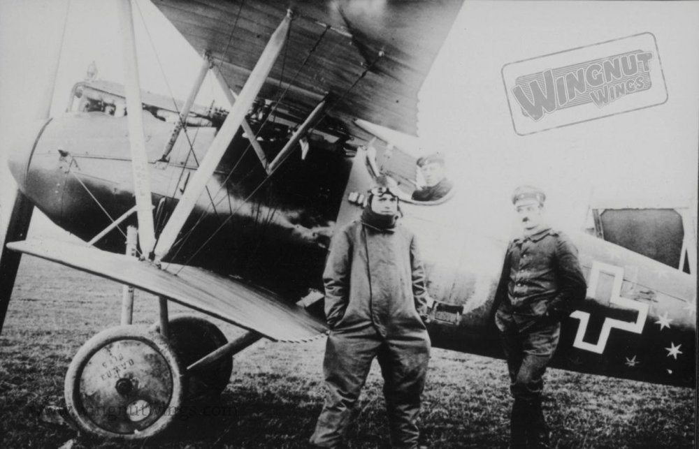 Albatros D.Va OAW 6633_17 Michael Sigmann - Jasta 78b view b (Greg VanWyngarden).jpg