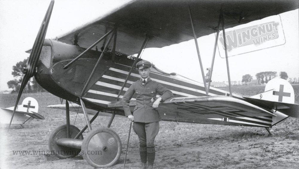 Bonus 2 - Fokker D.VII (Alb), Ltn.d.r. Simons, Jasta 43, Mid 1918 (0443-040).jpg