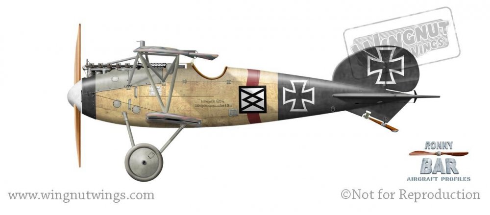 Albatros D.V, Karl Meierdirks, Jasta 12, July-August 1917 (2 victories).jpg